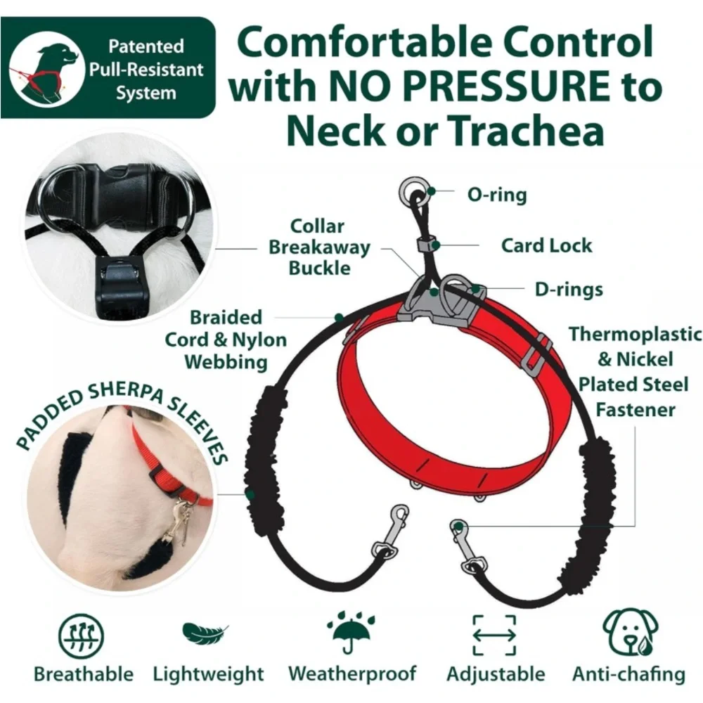 New Sporn Original Training Halter, No Pull Harness Medium Size Dog with Blue