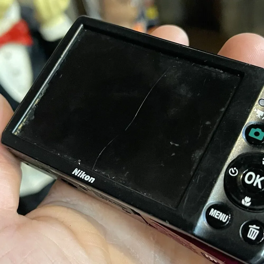 Nikon owned stay other