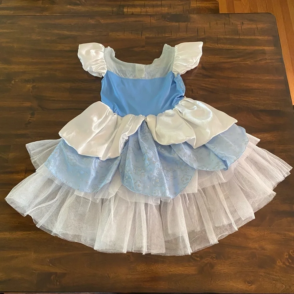 Disney Cinderella Costume