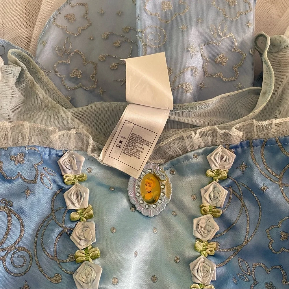 Disney Cinderella Costume