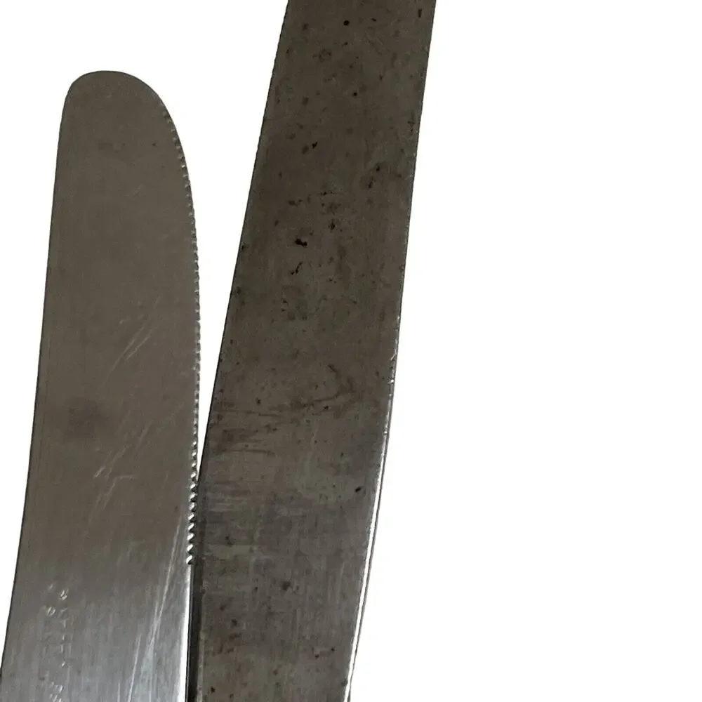 Stanley Roberts Stainless Lady JoAnn 1 Dinner Knife 9 1/8