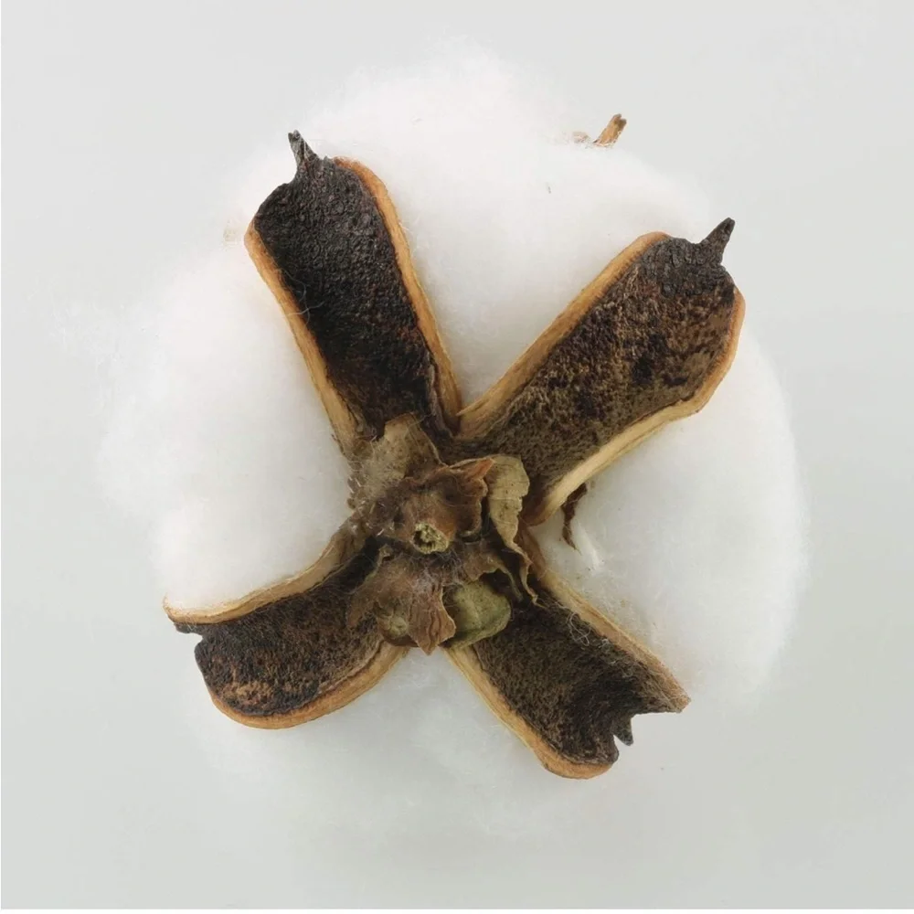 BRAND NEW COTTON BALL PIECES FOR FARMHOUSE HOME DECOR