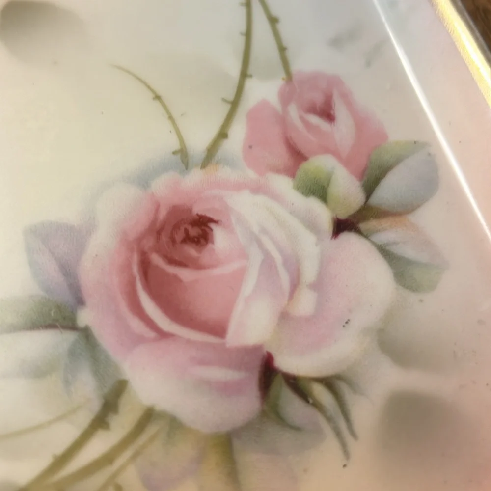 Prussia pink flowers