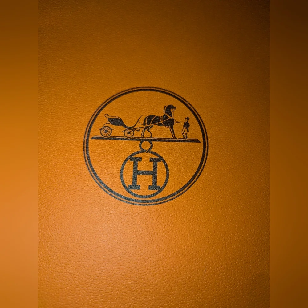Hermes excellent never