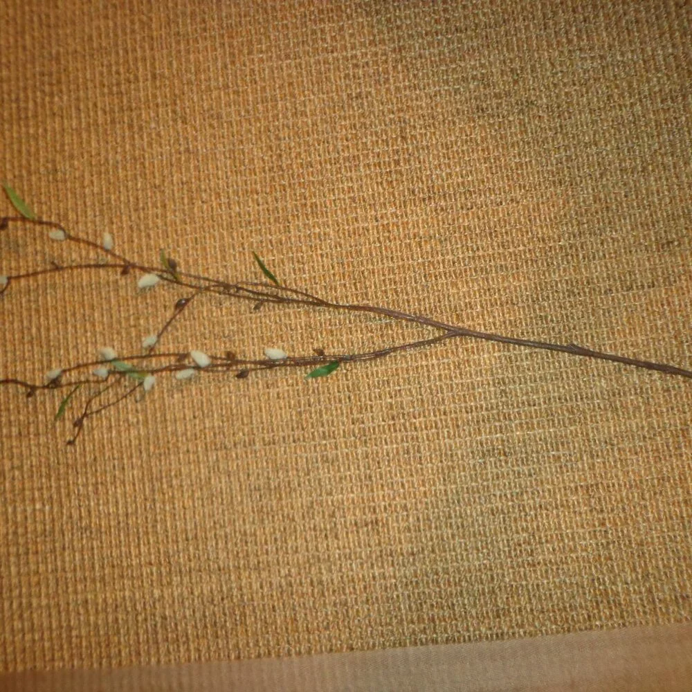 NWOT Faux Salix Caprea Stem 37