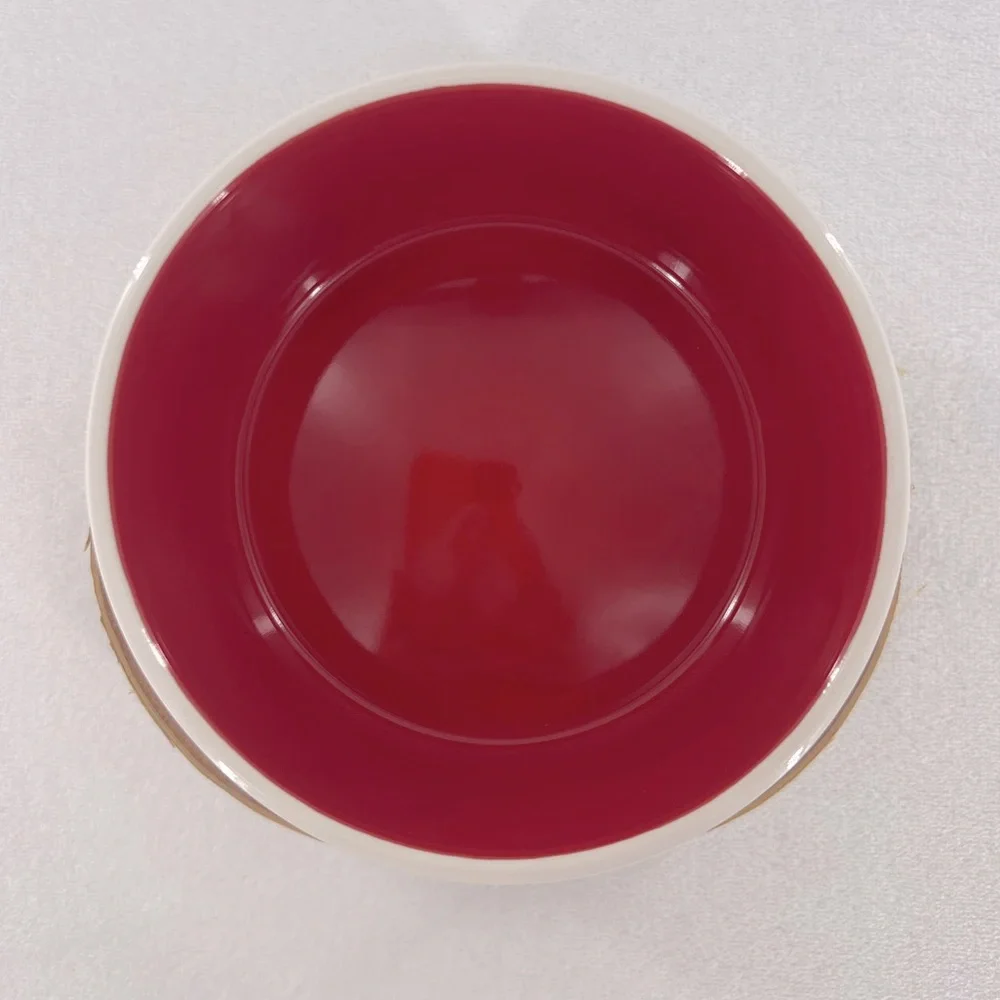 Rae Dunn”Deck The Paws” Dog/Pet Dish