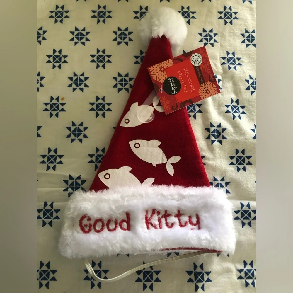 Santa Christmas cat for cat