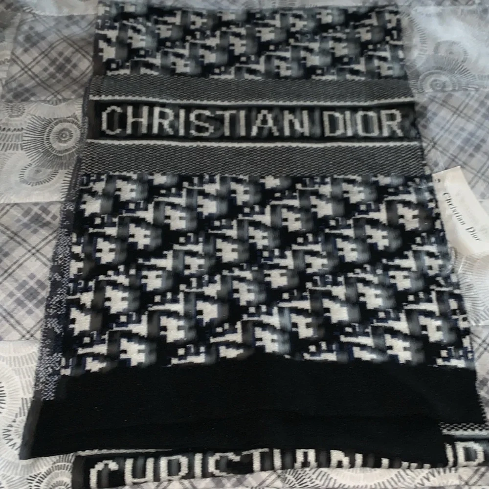 Dior stylish christian