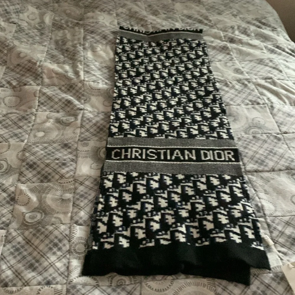 Dior stylish christian