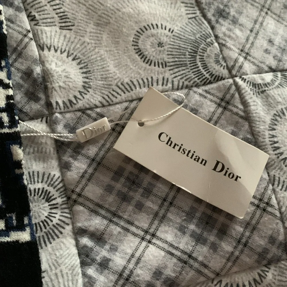 Dior stylish christian