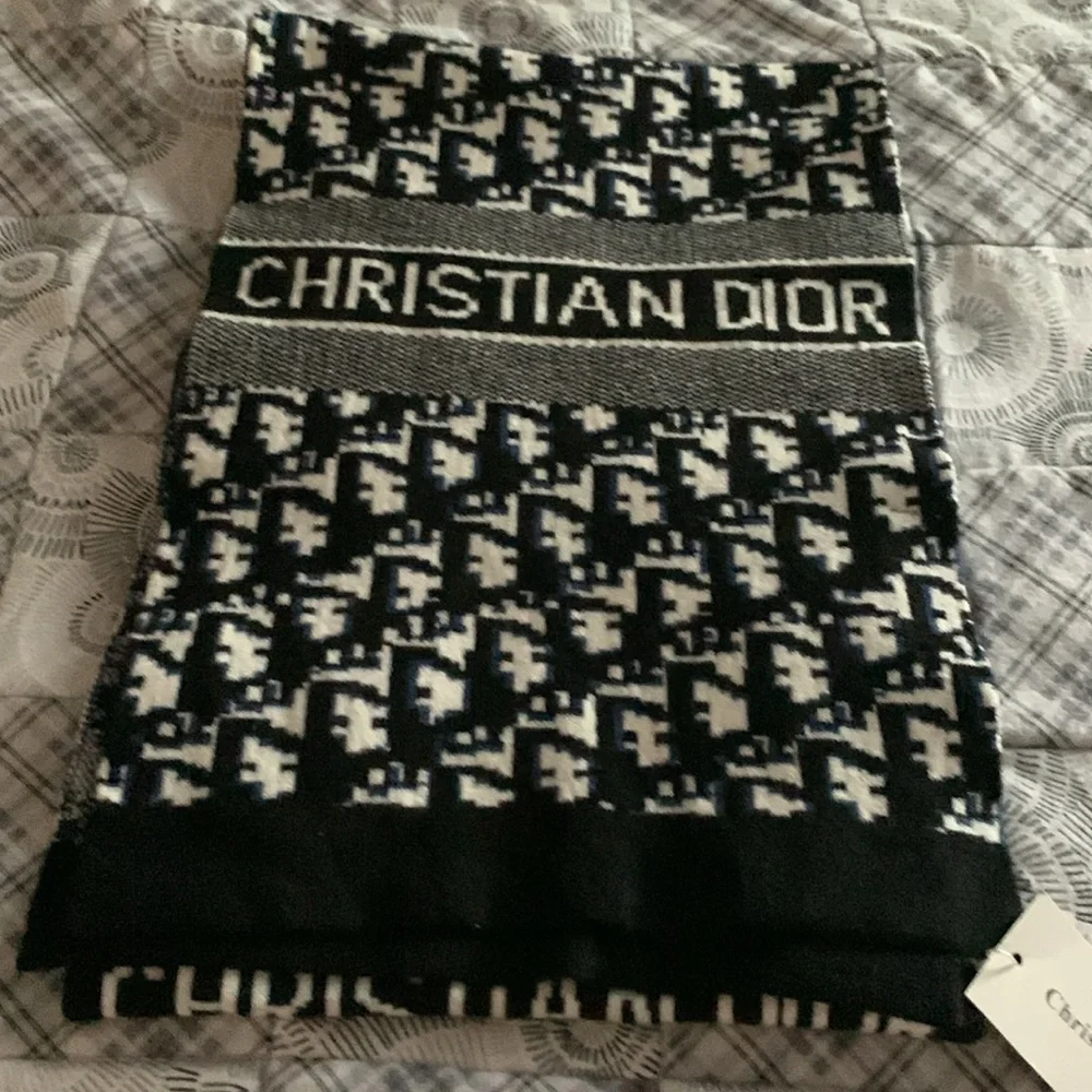 Dior stylish christian