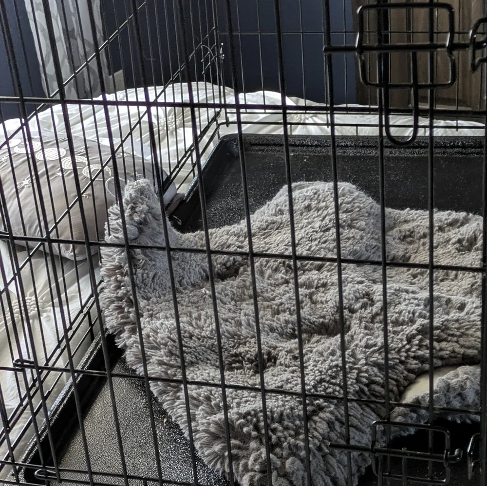 N/A extra large