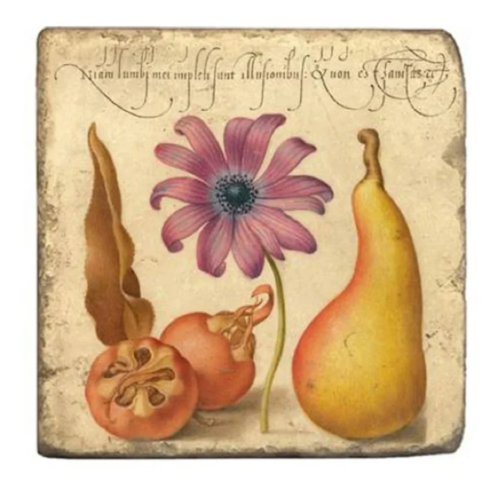 Joris Hoefnagel Floral Coasters, Set of 2, NWT