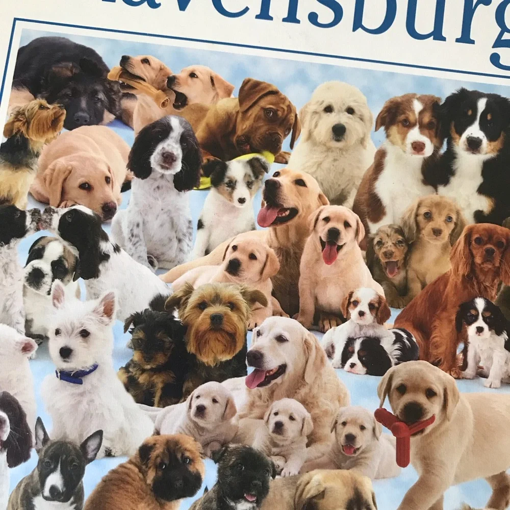 Ravensburger 1000 piece