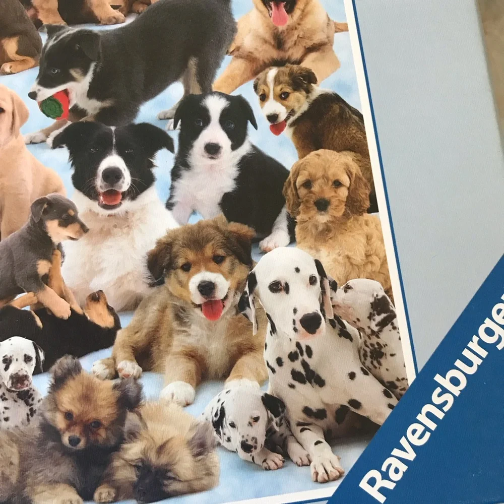 Ravensburger 1000 piece