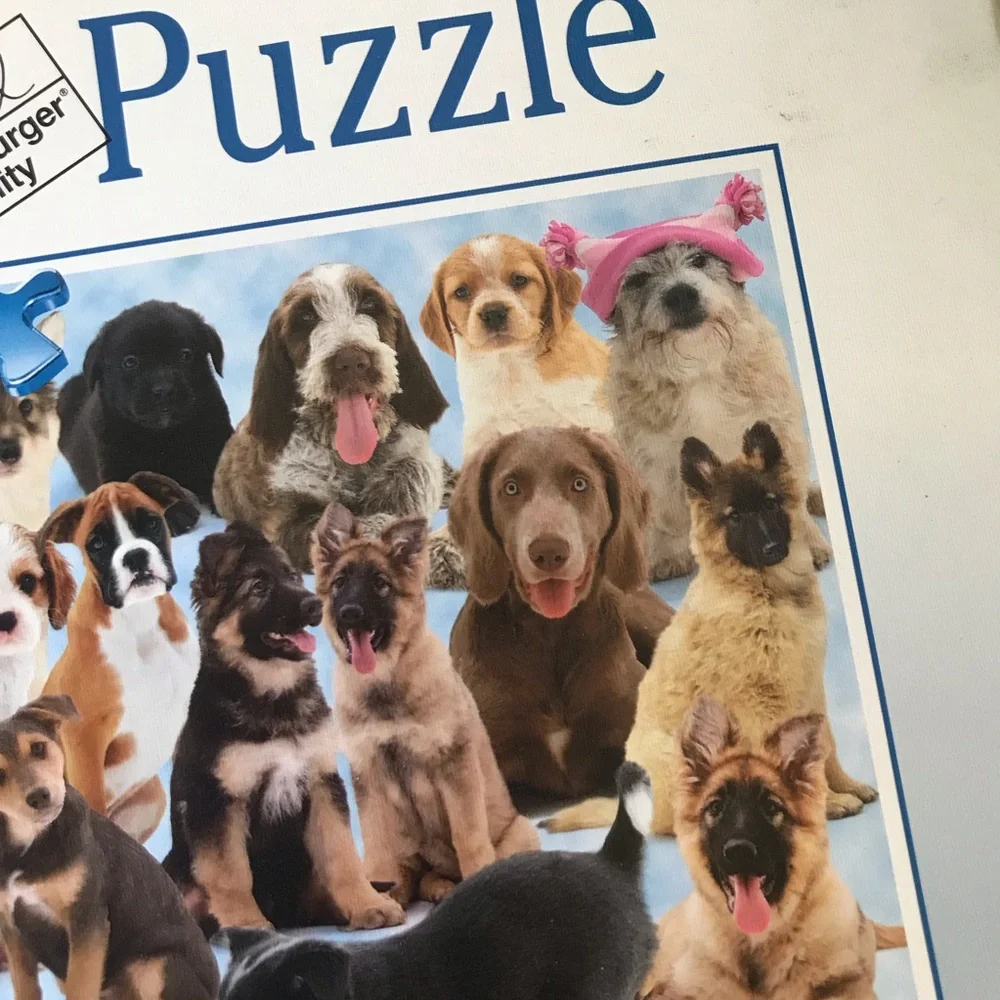 Ravensburger 1000 piece