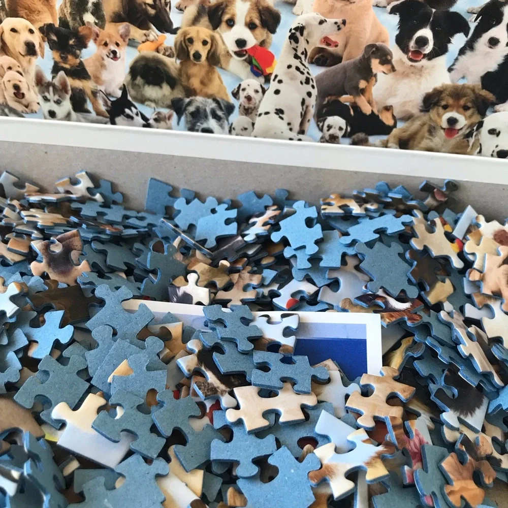 Ravensburger 1000 piece