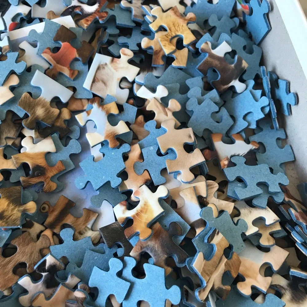 Ravensburger 1000 piece