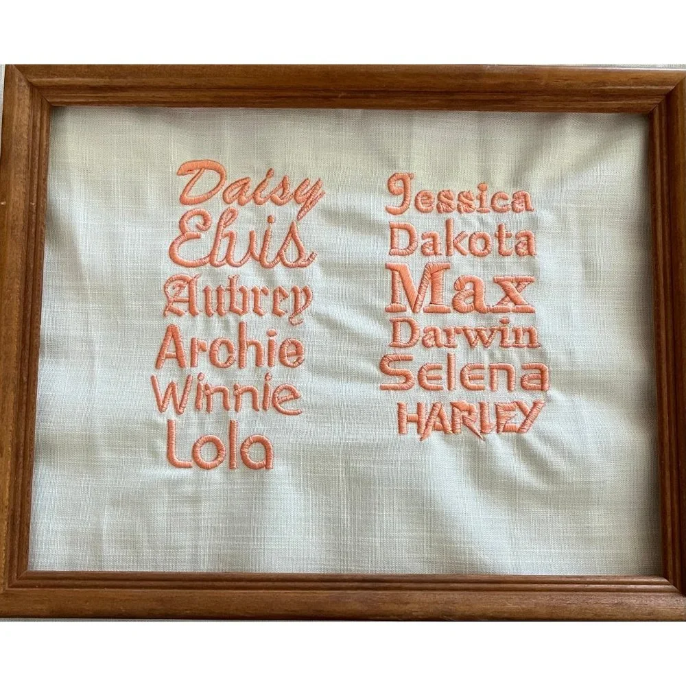 NWT Custom embroidered paw pet blanket
