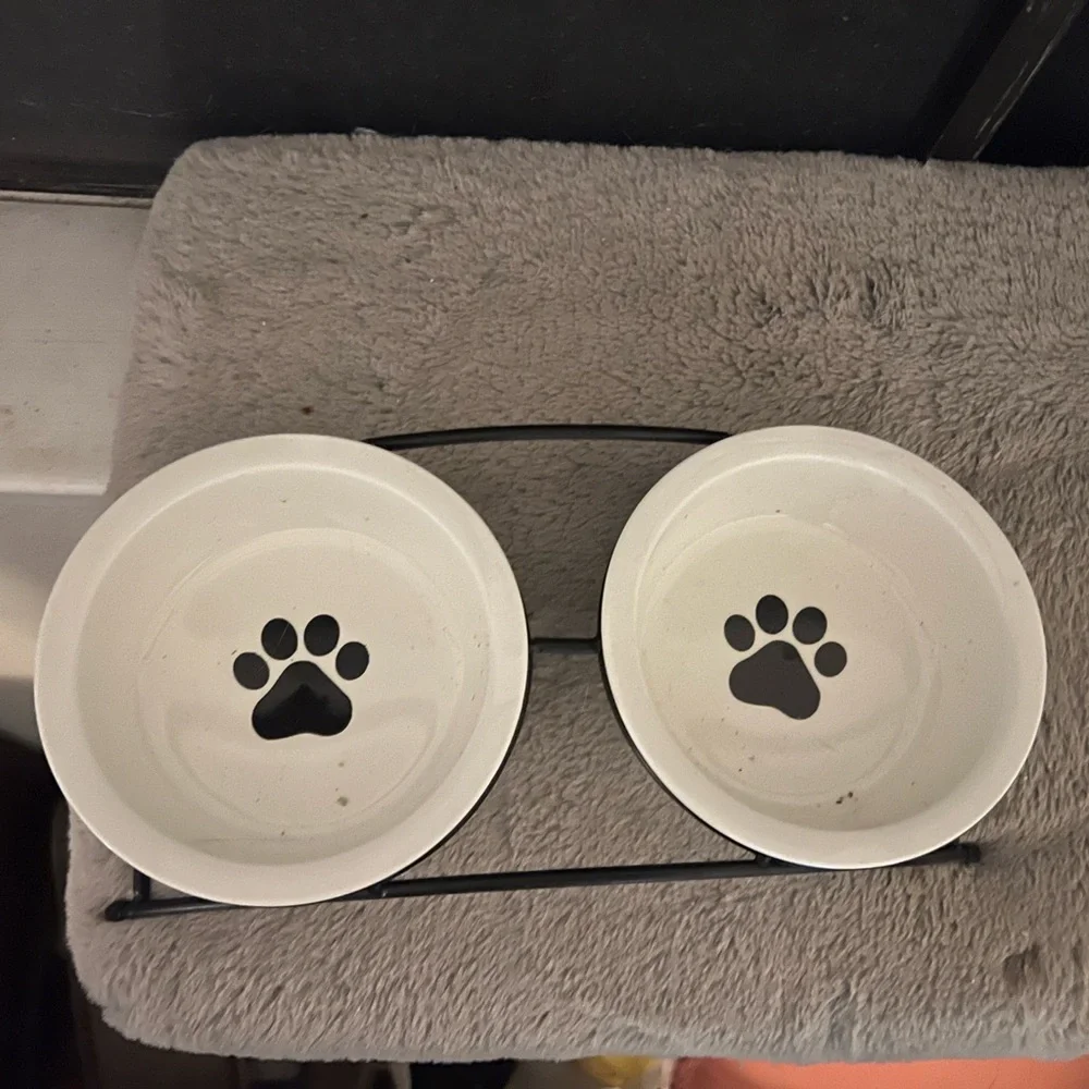 Car bowls