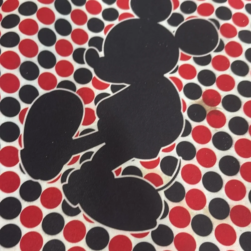 Disney 14Inch case for laptop