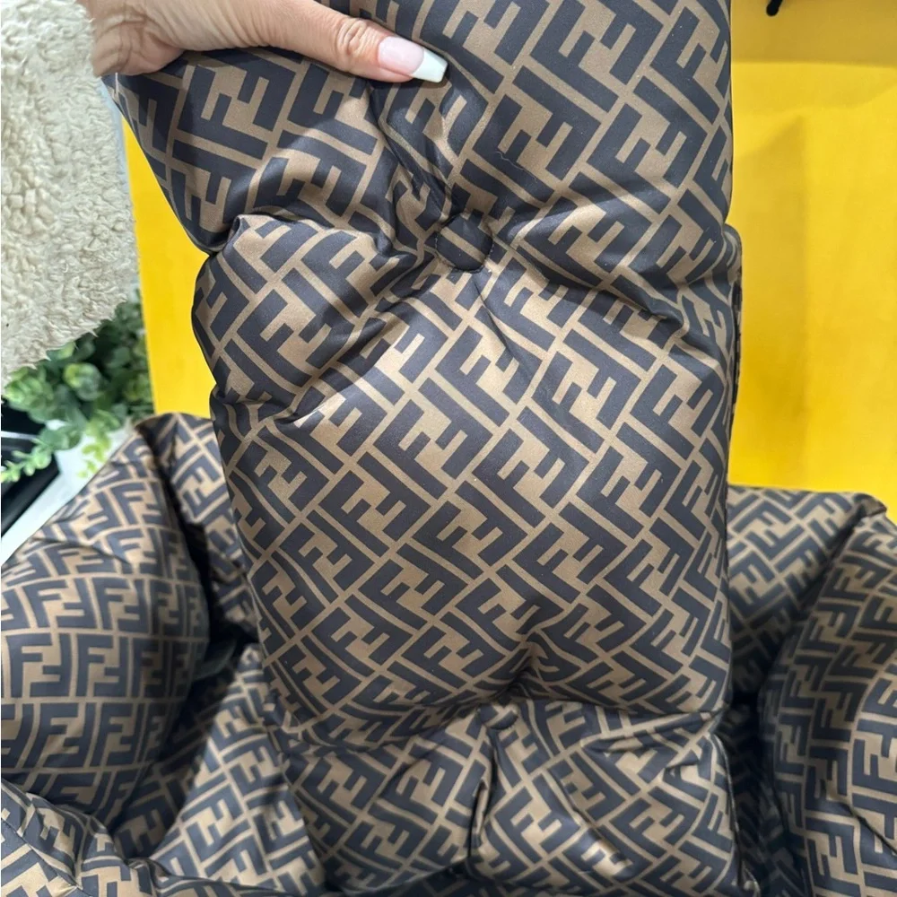 Fendi luxurious pet