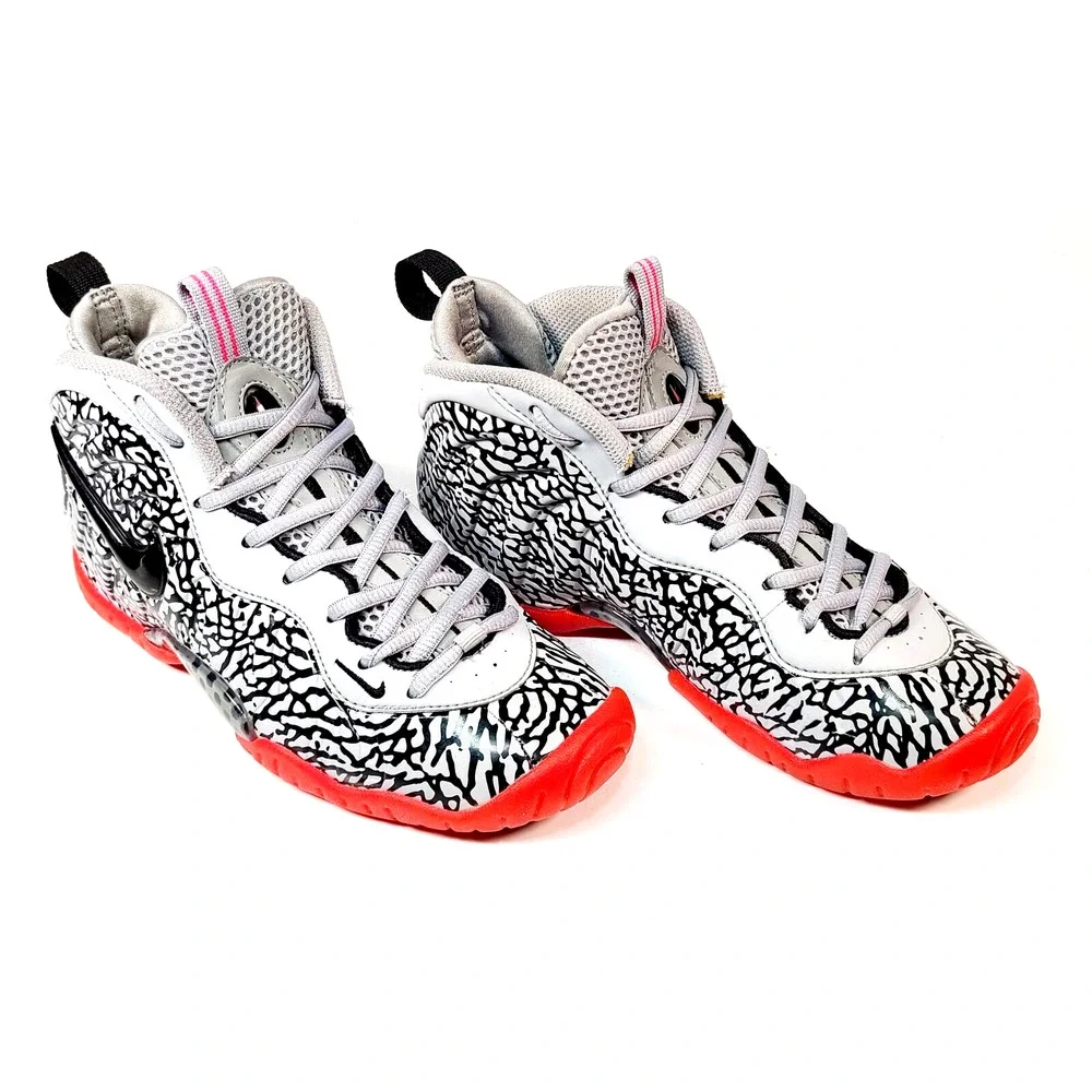 Nike foamposite pro