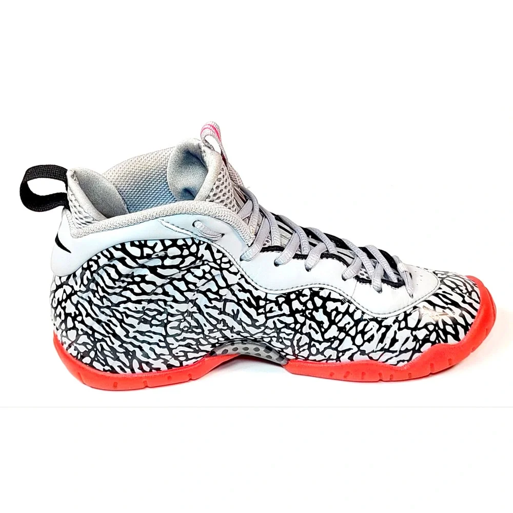 Nike foamposite pro