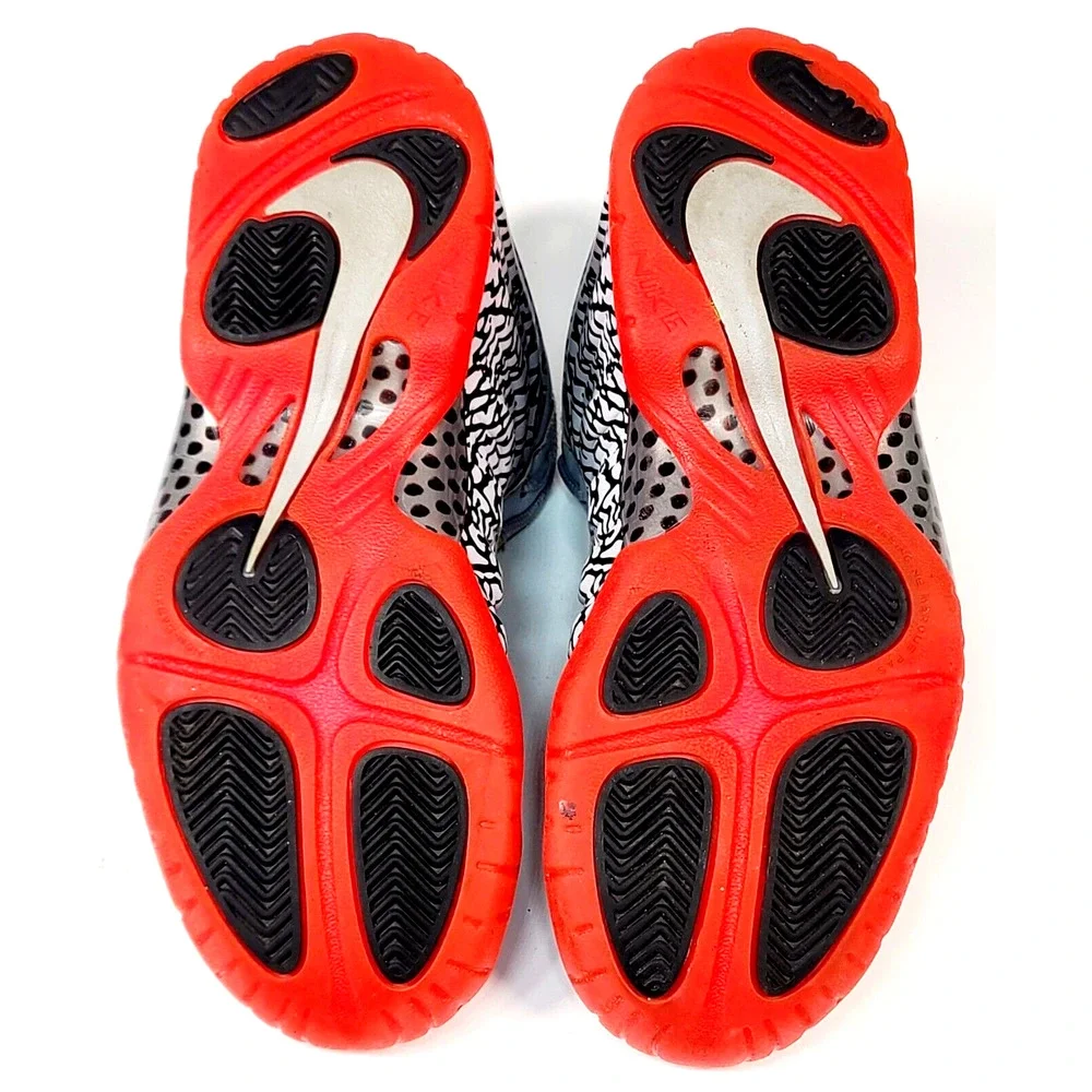 Nike foamposite pro