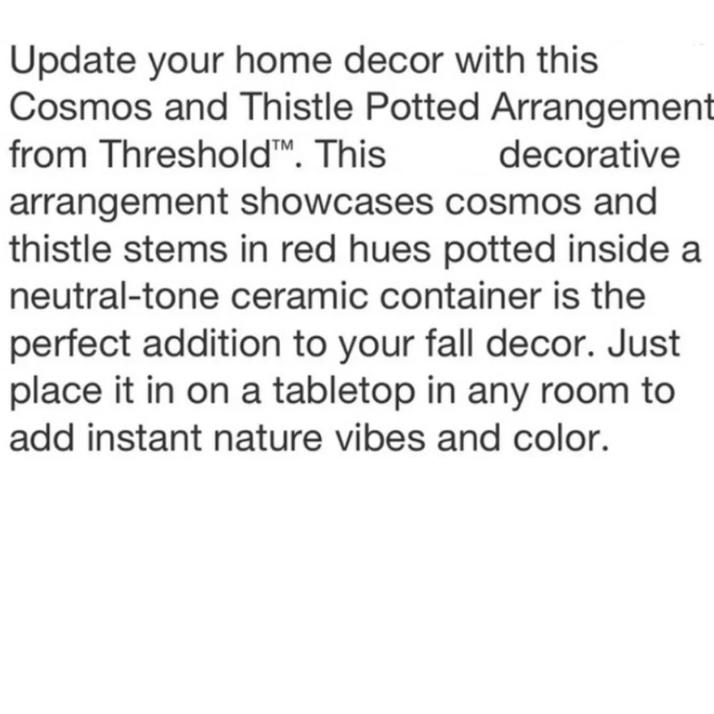 THRESHOLD NWT faux cosmos & thistle potted arrangement -large