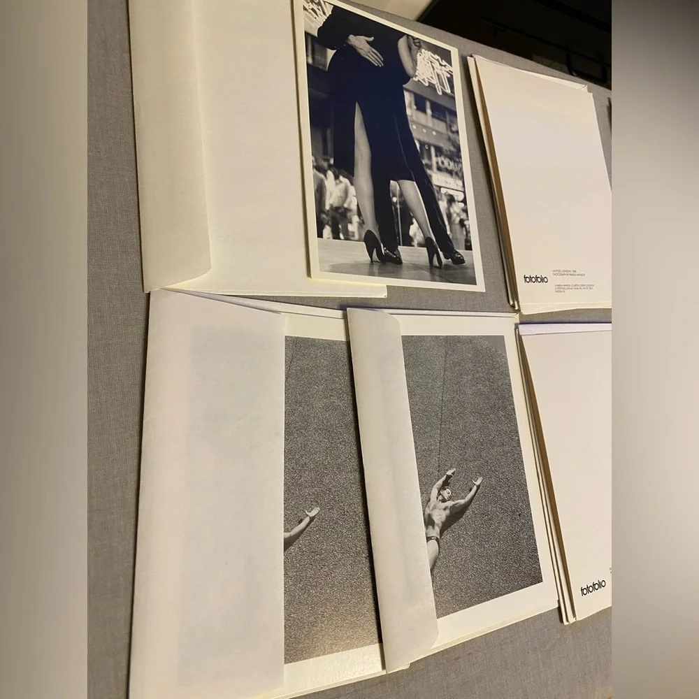 Polaroid perfect collectors