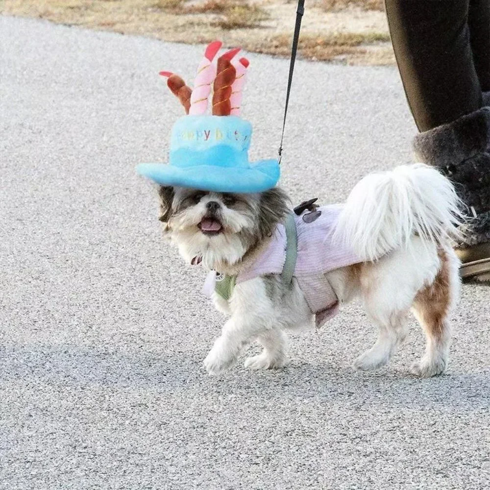 N/A blue hat