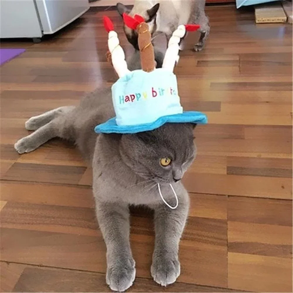 N/A blue hat