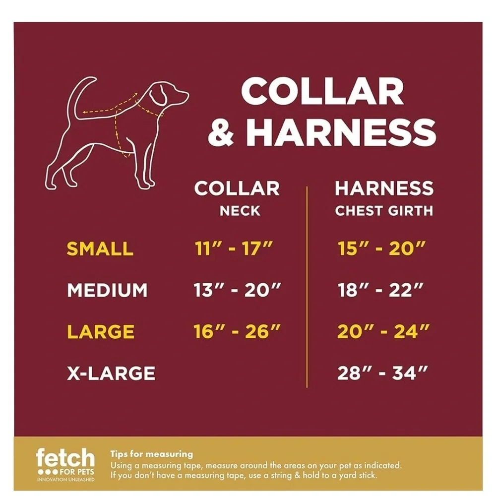 Warner Bros. harry new collar