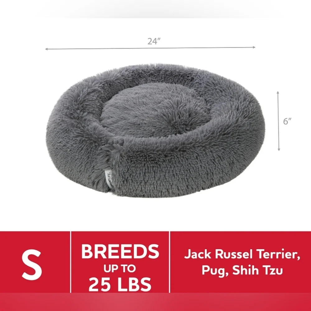 Vibrant gray ultimate dog