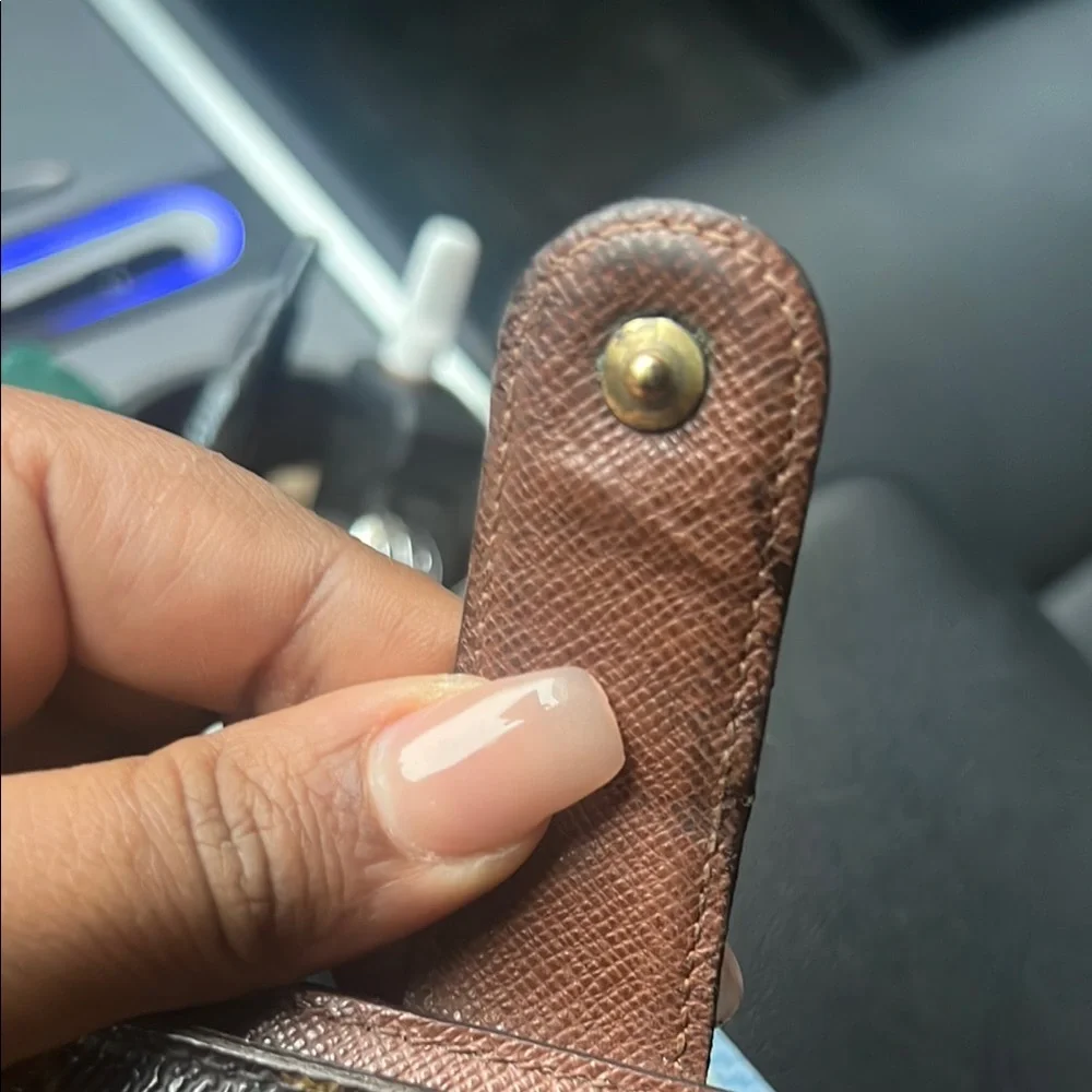 Louis Vuitton stylish louis