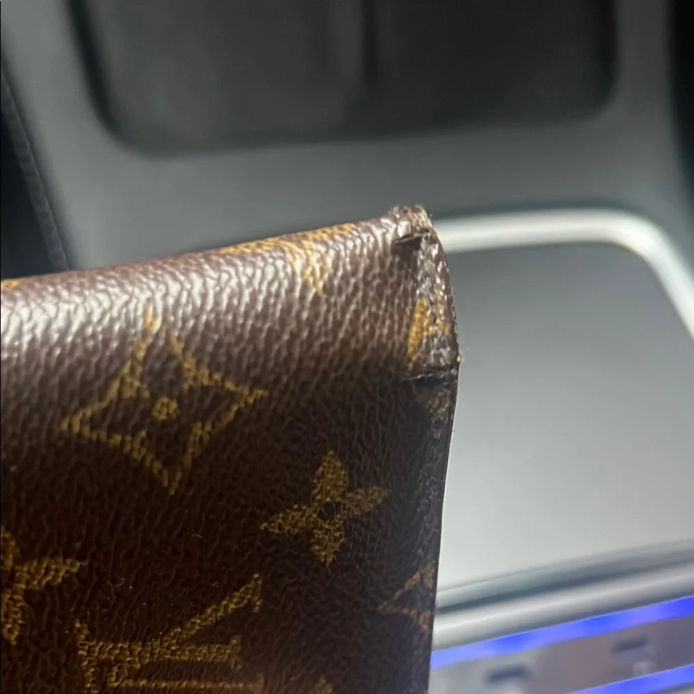 Louis Vuitton stylish louis
