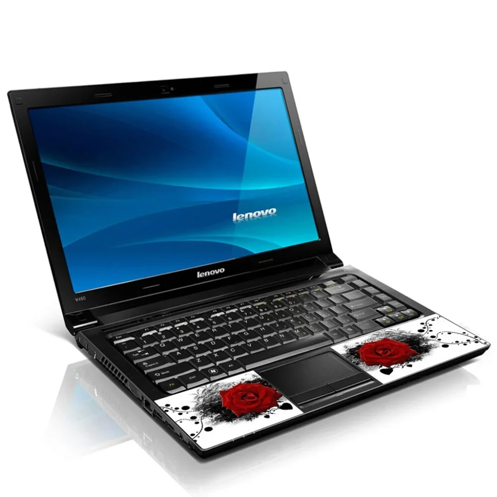 LSS laptop skin