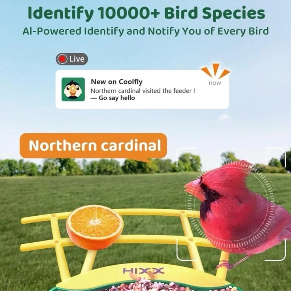 Bird Feeder with Camera Solar Powered, 2K Resolution Bird Camera Auto Capture