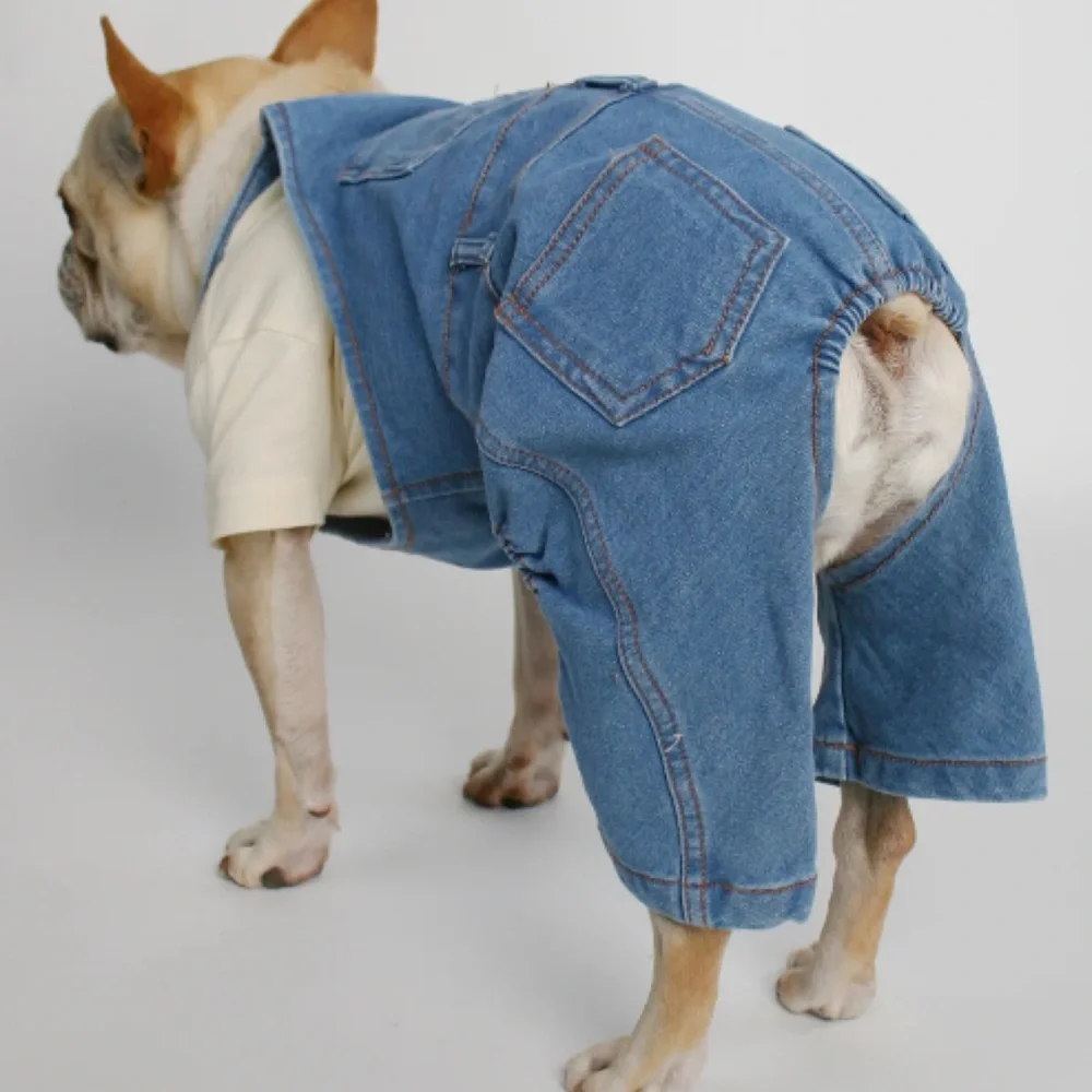 Pet Clothing Outfitters stylish durable