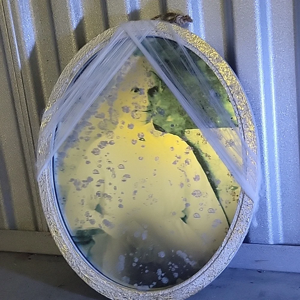 Elegant Silver Oval Wall Mirror