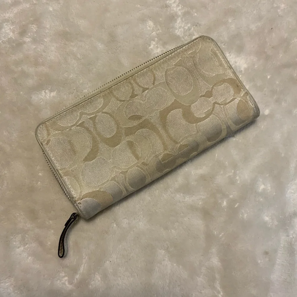 bag pearl hobo