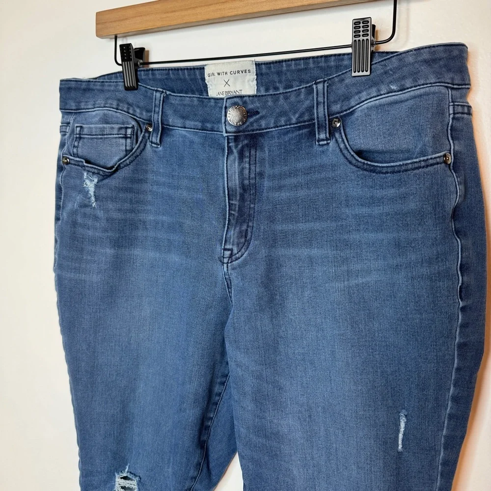 Lane Bryant influencer blogger