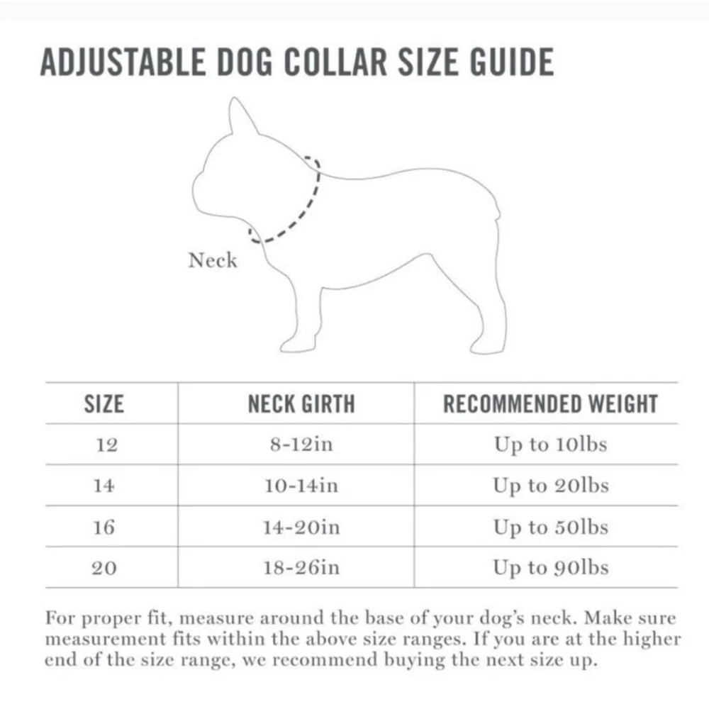 Martha Stewart | Dog Collar Medium Gray and Coral Nylon