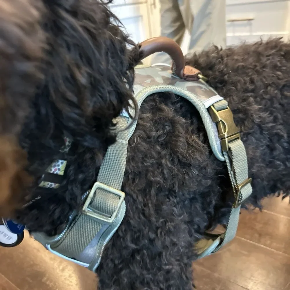Reddy camouflage features strap