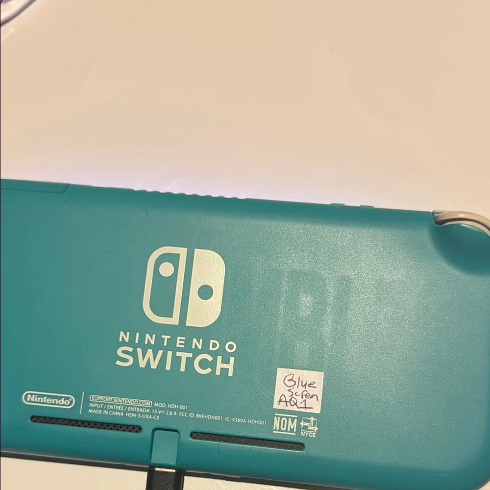 Nintendo experience portable