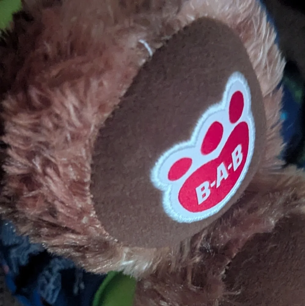 Build-A-Bear 2021 Promise Pet Calico Tortie 14