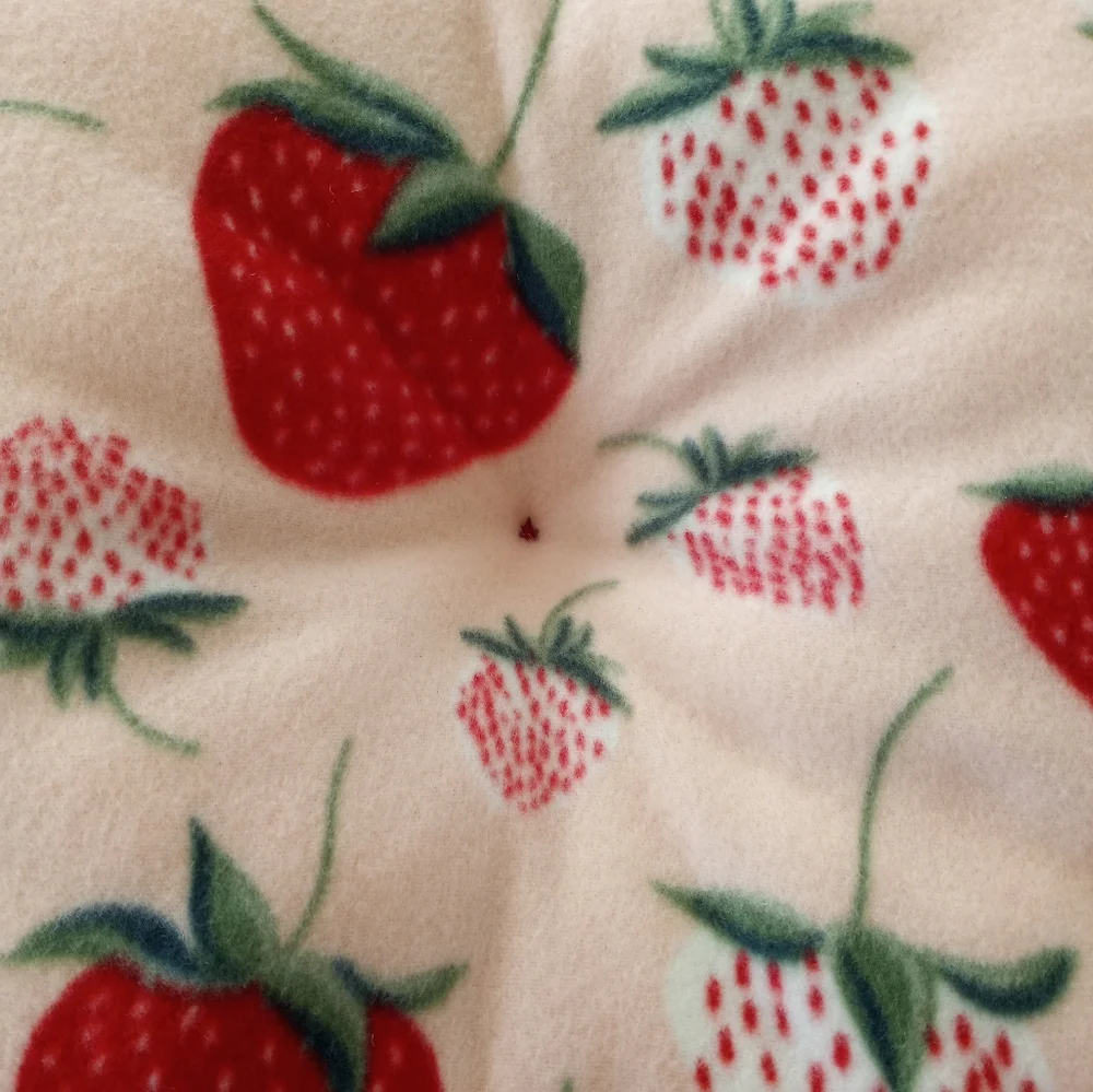 None plush strawberry