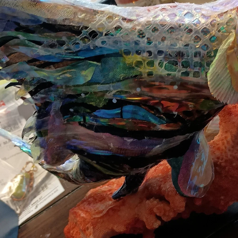 N/A vibrant fish
