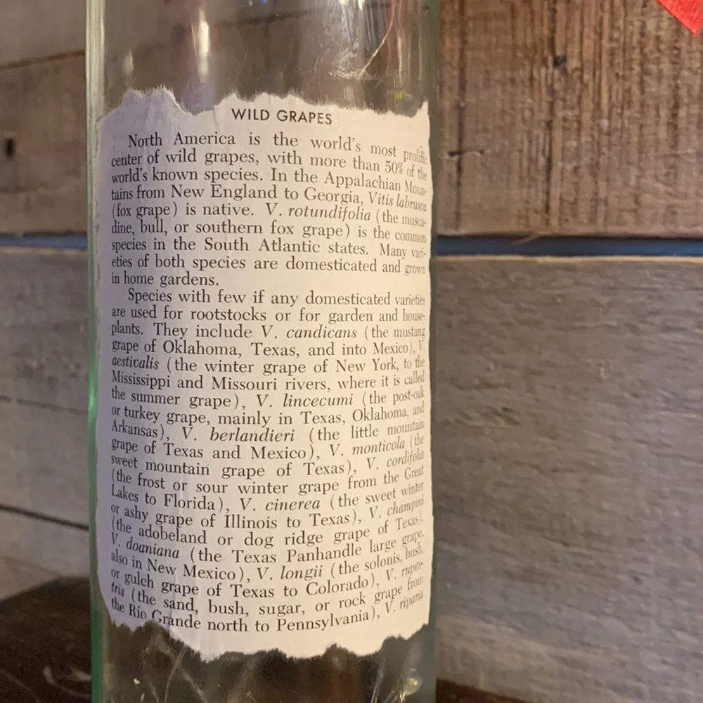 Hand Crafted clear glass